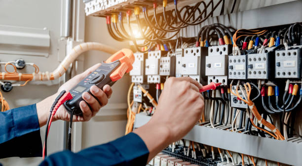 Best Electrical System Inspection  in Hayneville, AL